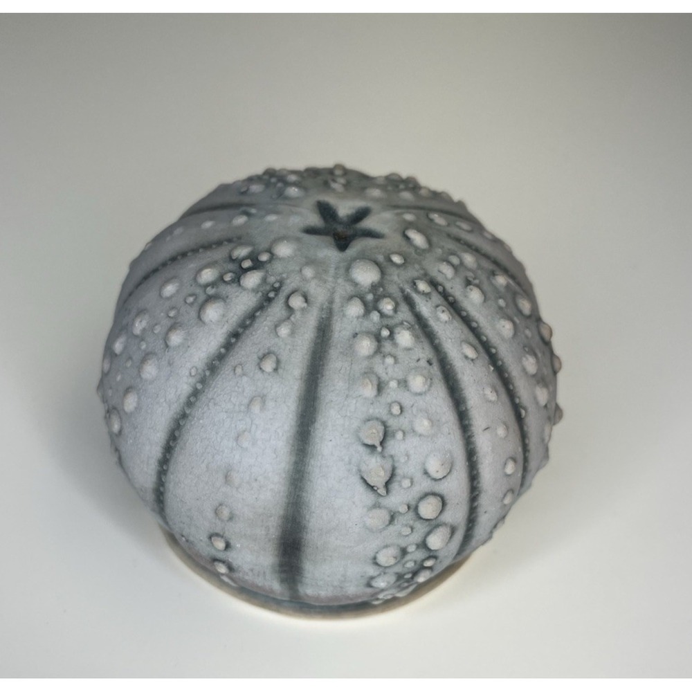 Georgetown Pottery MAINE Salt Shaker Urchin Art Pottery Sea Ocean Decor Nautical - Picture 4 of 12